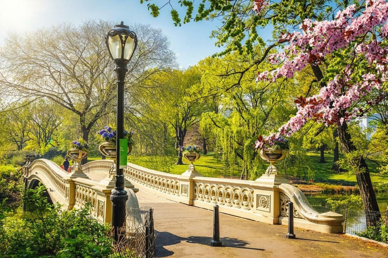 Frederick'S Place - Convenient Condo Walk To Central Park And Columbia University New York Kültér fotó